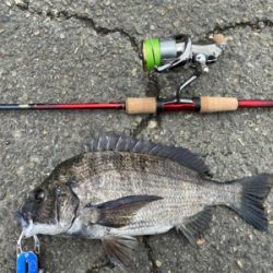 何でもいいから釣れろ。　黒が来た。