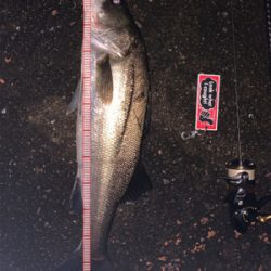 雨の止み間に…