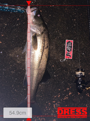 雨の止み間に…