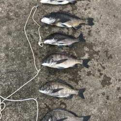 年無し2枚ゲット！