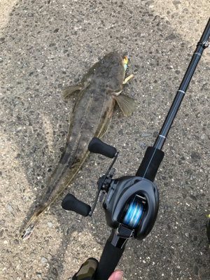 濁った紀ノ川で