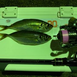 ガーグリップを忘れてしまった