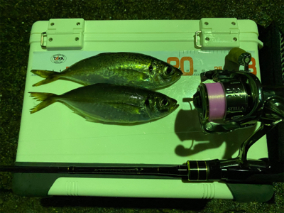 ガーグリップを忘れてしまった