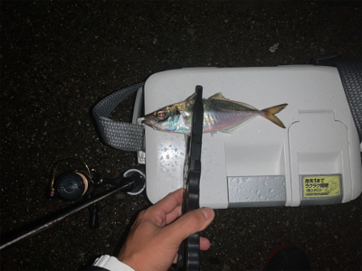 あっちも駄目で、こっちも駄目で…