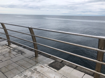 メジロとハマチ