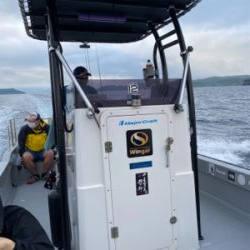 佐賀デイイカメタル