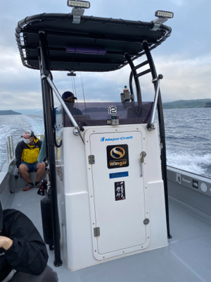 佐賀デイイカメタル