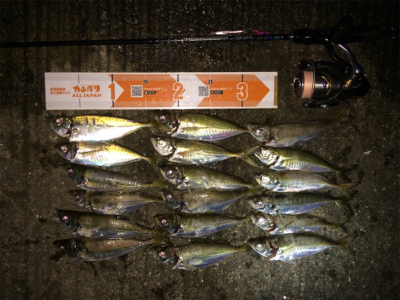 激濁りでも関係なし！アジプラグ爆発