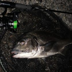 梅雨の晴れ間に