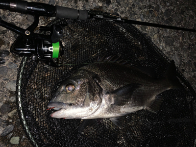 梅雨の晴れ間に
