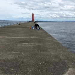 フカセ釣り　ヘチ釣り