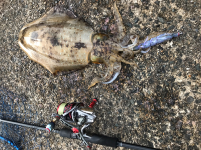 シーズンラストに来ました！