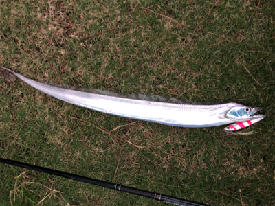 平日なのに人多し