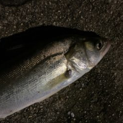 パターンなどない