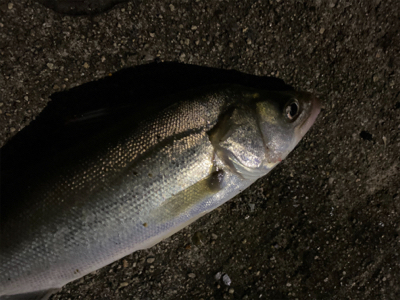 パターンなどない