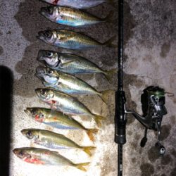 終電帰宅後アジング!