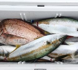 今年2回目の玄達瀬釣行!!