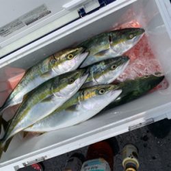 南あわじ盛漁丸さんにてジギング