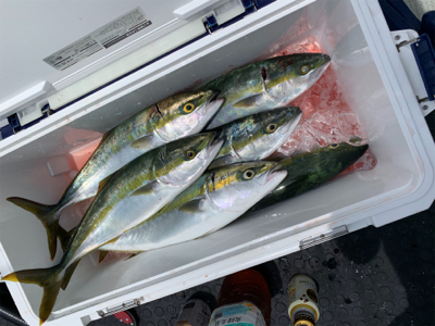 南あわじ盛漁丸さんにてジギング