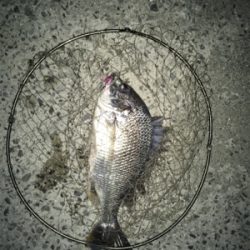 梅雨あけ、まだ?