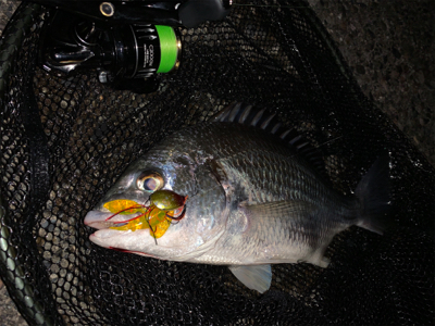 サイズが落ちてきたチニング