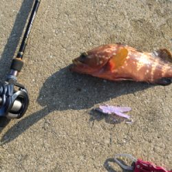 この場所は日本海パターンか？