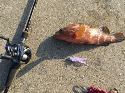 この場所は日本海パターンか？