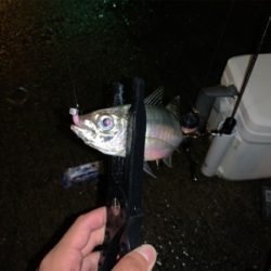 意外とクオリティが高い場所?!