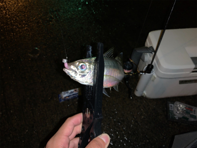 意外とクオリティが高い場所?!