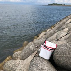 波止フカセ釣り チヌ&グレ