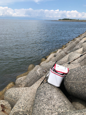 波止フカセ釣り チヌ&グレ