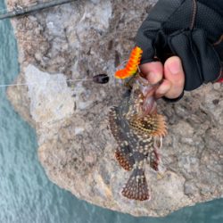 地磯ロック釣行