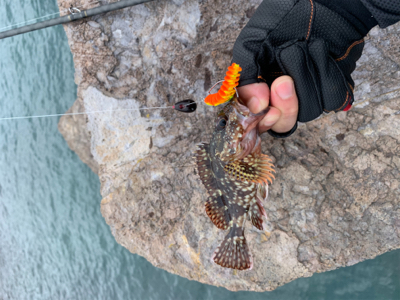 地磯ロック釣行