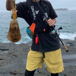 厳しい中なんとか小さい2杯