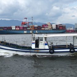 アコウ+ガシラ祭りを堪能しました