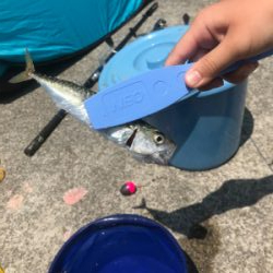 キスを求めて吉良サンライズパーク‼️