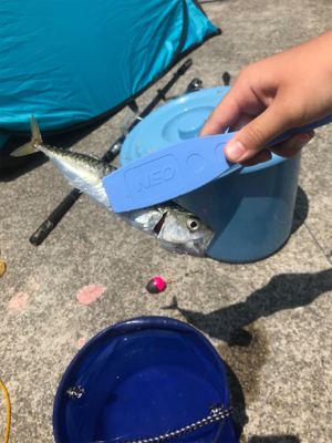 キスを求めて吉良サンライズパーク‼️