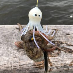 ツバスが釣れているとの事で‥