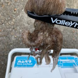 昨日よりマシかな?