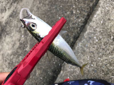 サバゲー楽しいですよ！