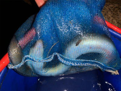 夕まづめからのぶっ込み釣り