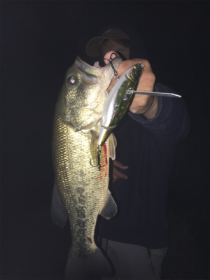 アイウィングフィッシュ