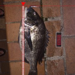 あとちょっとで年無し