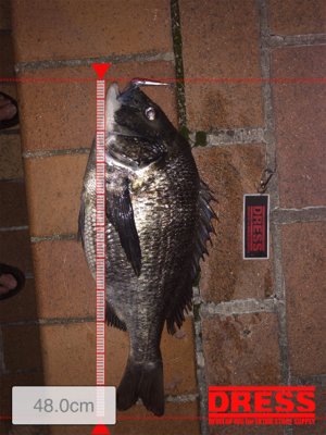 あとちょっとで年無し