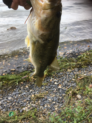 真昼間の琵琶湖