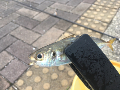 １時間チャレンジ！