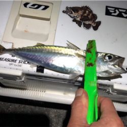 まあまあサイズ