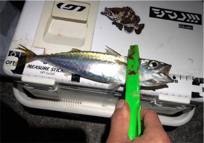 まあまあサイズ