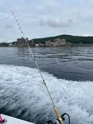 淡路島でノマセ