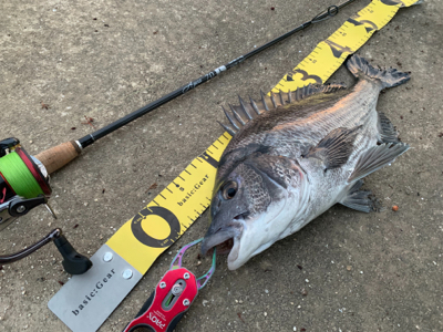 夕マズメチニング